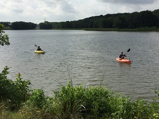 Water with forested treeline and two kayakers paddling in water - one yellow boat and one red.