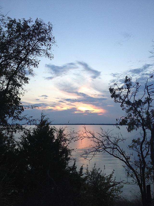 Sunset over lake with trees in the foreground. Most of the water and sky are blue with some pink in the sunset.